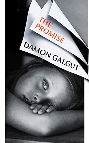 Download The Promise by Damon Galgut
