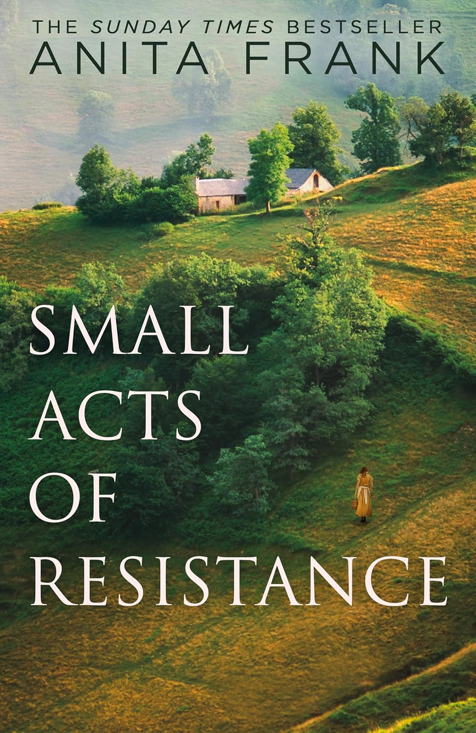 Download Small Acts of Resistance